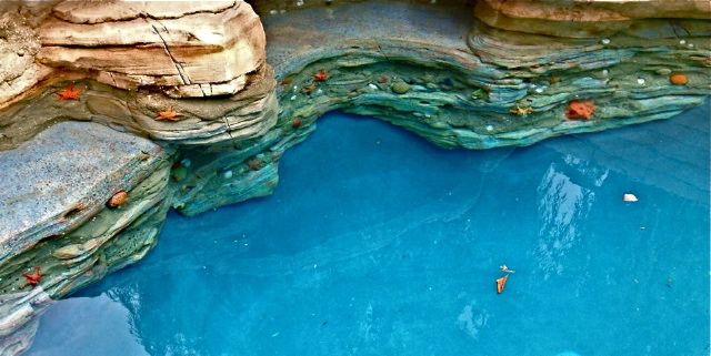 Sea-themed pool with blue mosaic tiles, palm trees, and decorative sea-inspired elements, offering a serene and luxurious retreat for relaxation and enjoyment.