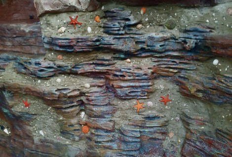 Sea Themed Rockscape