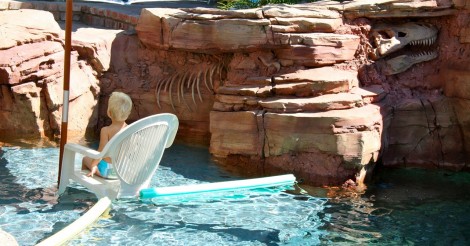 T-Rex Fossil Rockscape in Pool