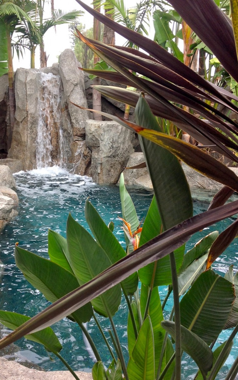 Custom waterfall feature, creating a fun pool environment perfect for relaxation and enjoyment